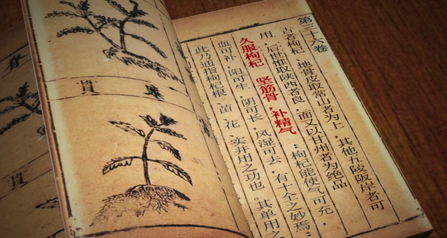 《中医会员课程》